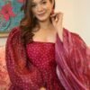 shanaya cherry maxi set with organza dupatta